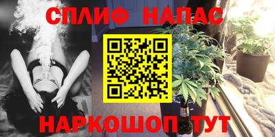 прущие крисы Ачхой-Мартан