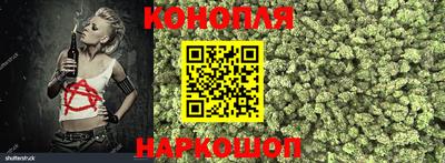 прущие крисы Ачхой-Мартан
