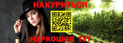 apvp Аша