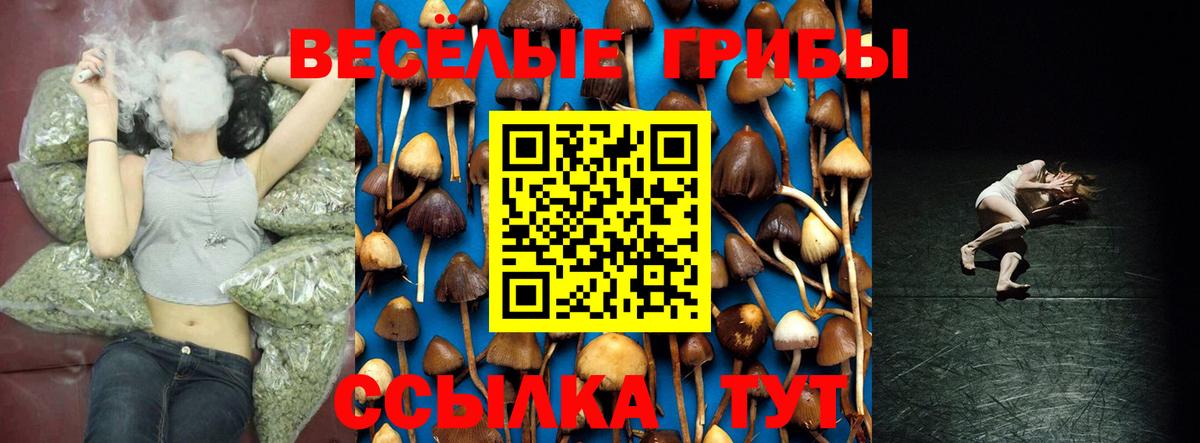 Галлюциногенные грибы прущие грибы Зеленогорск