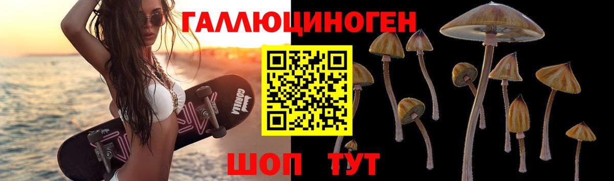 Зеленогорск  Галлюциногенные грибы Psilocybine cubensis  Вход с VPN  Псилоцибиновые грибы мухоморы 
